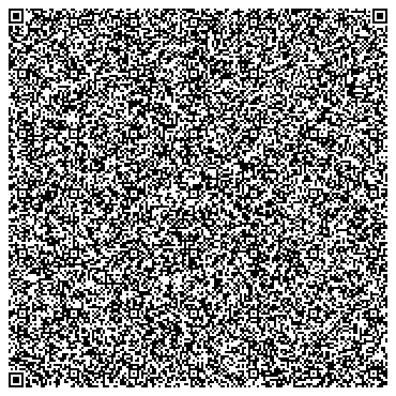 A QR code containing the interpreter A QR code containing the interpreter