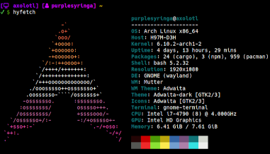 hyfetch on Arch Linux